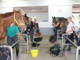 img_3652_web